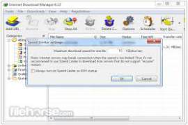 Internet Download Manager