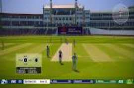 Cricket 19