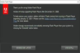 Adobe Flash Player