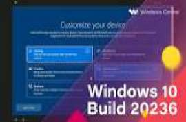 windows 10 upgrade tool (build v24074)