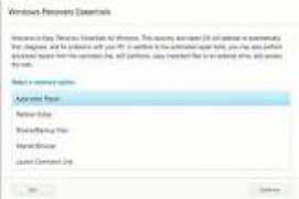 Easy Recovery Essentials (EasyRE) Pro - Windows 10